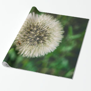 Papel De Presente Uma Aranha Em Um Dandelion