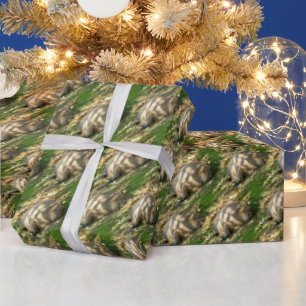 Papel De Presente Uma bela Capybara Sonha no Sol de Verão