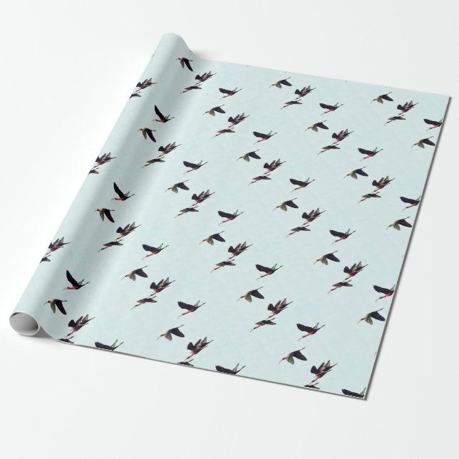 Papel De Presente Uma borda de Ibises em Voo (Desenrolado)