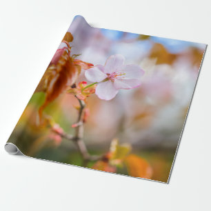 Papel De Presente Uma Charmante Flor Sakura Em Um Pau De Primavera