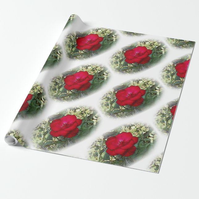 Papel De Presente Uma rosa solitária (Desenrolado)