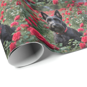 Papel De Presente "Uma Rosa vermelha para o Black Scottish Terrier"