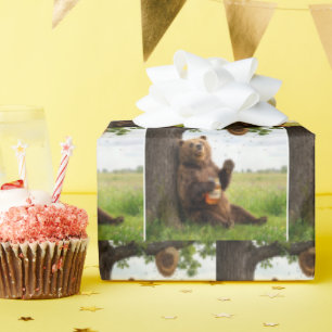 Papel De Presente Urso com um Pote de Mel
