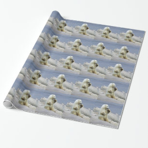 Papel De Presente Urso Cub polar bonito & gelo ártico