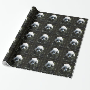 Papel De Presente Urso Panda Gigante Fofo com Folhas de Bambu Delici