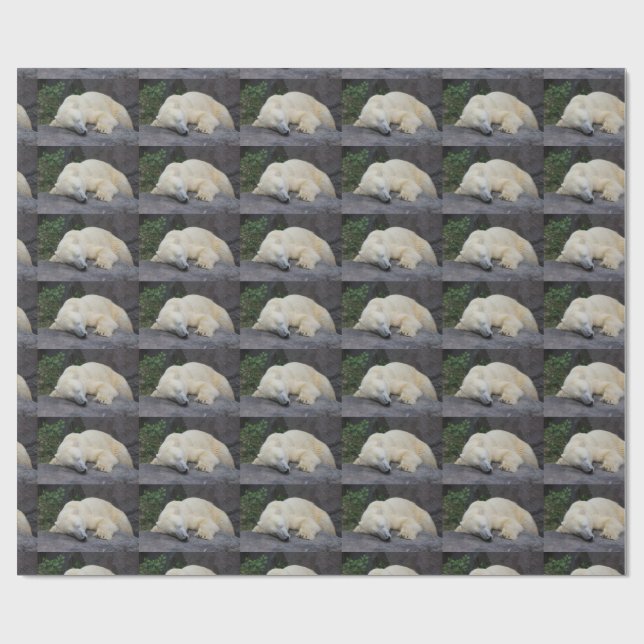 Papel De Presente Urso Polar Adormecido (Aberto)