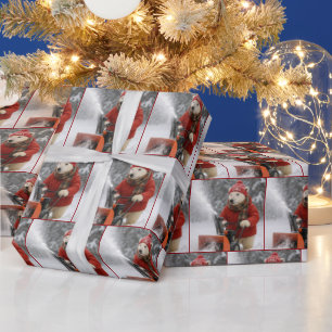 Papel De Presente Urso Polar de Natal Empurrando um Limpa-Neve