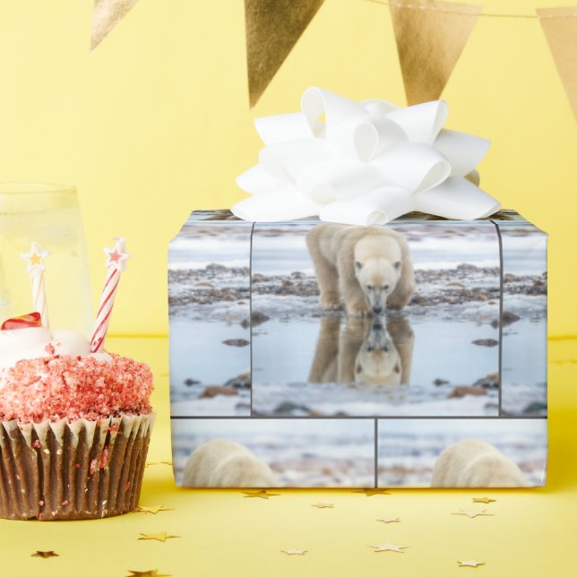 Papel De Presente Urso Polar Olhando seu Reflexo (Festa de aniversário)
