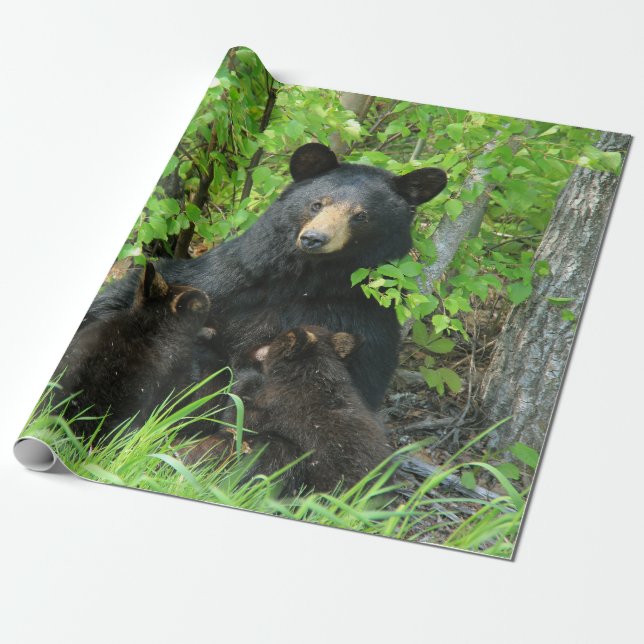 Papel De Presente Urso Preto e Cubos Gêmeos (Desenrolado)