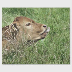 PAPEL DE PRESENTE VACA