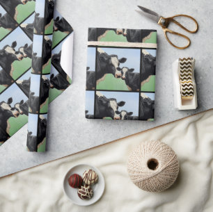 Papel De Presente Vaca Holstein Negra e Vitelo