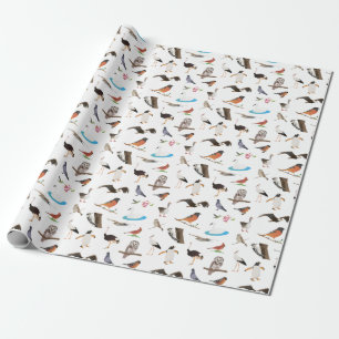 Papel De Presente Várias Aves