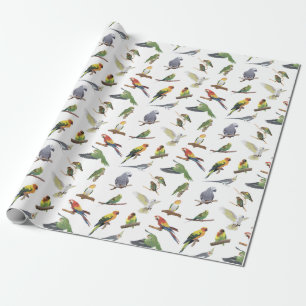 Papel De Presente Várias peças coloridas