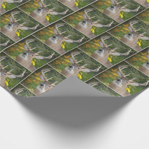 Papel De Presente veado-de-bico-grande na floresta