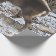 Veados na Neve