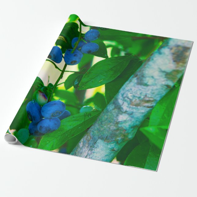 Papel De Presente Vegetais bonito (Desenrolado)