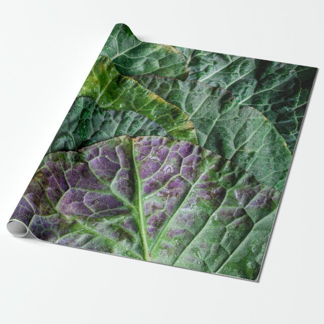 Papel De Presente Vegetal verde (Desenrolado)