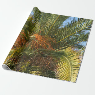 Papel De Presente Verão, palma, folha, tropical, árvore, natureza, p