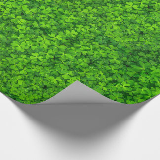 Papel De Presente Vestuário Verde com gotas de água