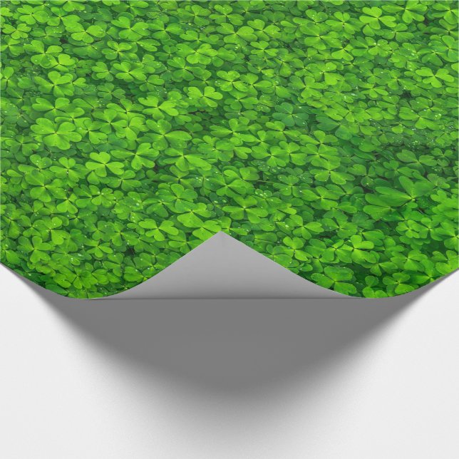 Papel De Presente Vestuário Verde com gotas de água (Ponta)