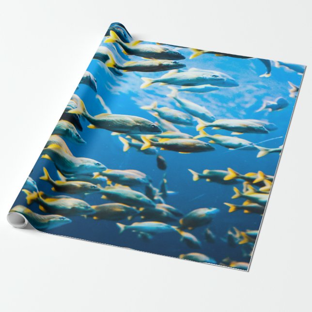 Papel De Presente Vida no Mar bonito (Desenrolado)