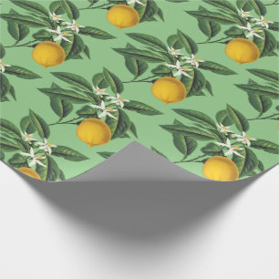 Papel De Presente Vintage Blossom de Fruta de Limão Botânico