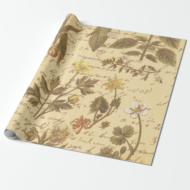 Papel De Presente Vintage Botanical Floral (Desenrolado)