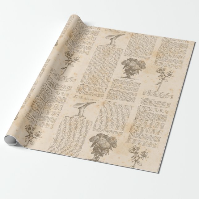 Papel De Presente Vintage Botanical Newsprint (Desenrolado)