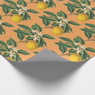 Papel De Presente Vintage Fruta Botânica de Limão Flor Laranja