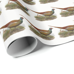 Papel De Presente Vintage Pheasant Game Bird Drawing Color