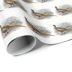 Papel De Presente Vintage Pheasant Game Bird Drawing Color 2