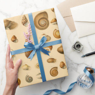 Papel De Presente Vintage Seashells Assortion 