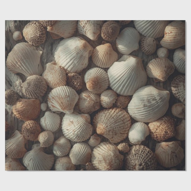 Papel De Presente Vintage Seashells Beach Coastal Christmas  (Aberto)