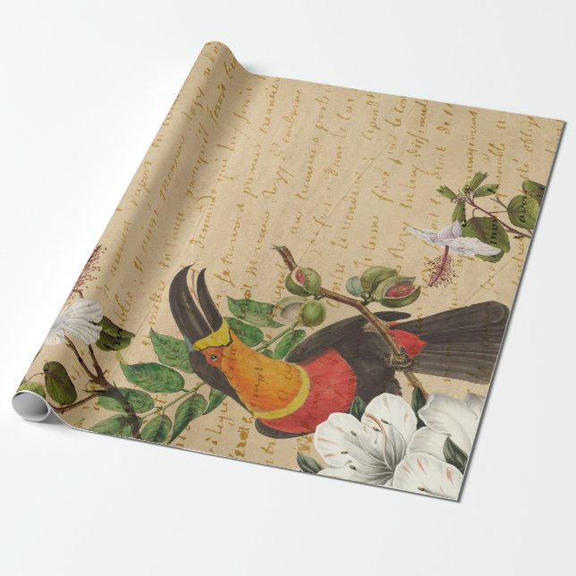 Papel De Presente Vintage Toucan e Tropical Flower (Desenrolado)
