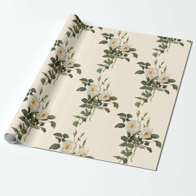 Papel De Presente Vintage White Rose Flower Wrappaper (Desenrolado)