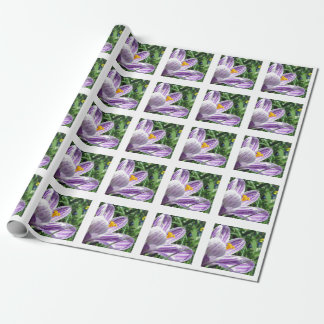 Papel De Presente Violet primavera crocus
