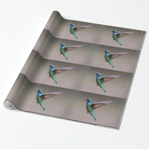 Papel De Presente Voo Do Hummingbird