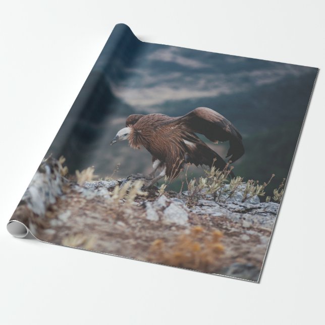PAPEL DE PRESENTE VULTURA (Desenrolado)