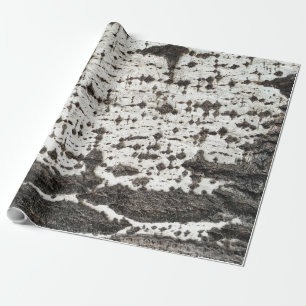 Papel De Presente Weathered birch trunk