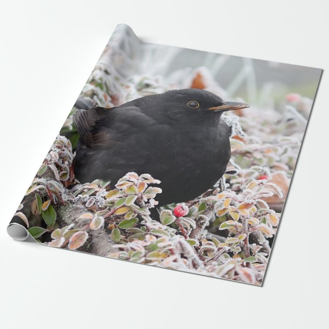 Papel De Presente Winter Blackbird (Desenrolado)