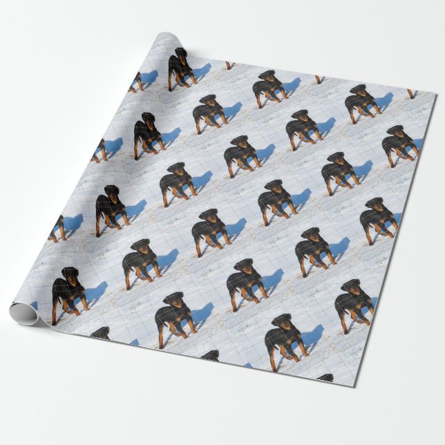 Papel De Presente Winterland Rottweiler (Desenrolado)