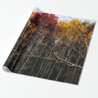 Papel De Presente Wisconsin Woods In Fall