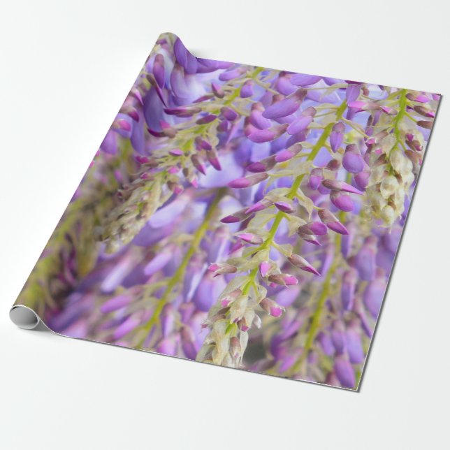 Papel De Presente Wisteria Purple Floral Flor Flor Tree Violet Wrapp (Desenrolado)