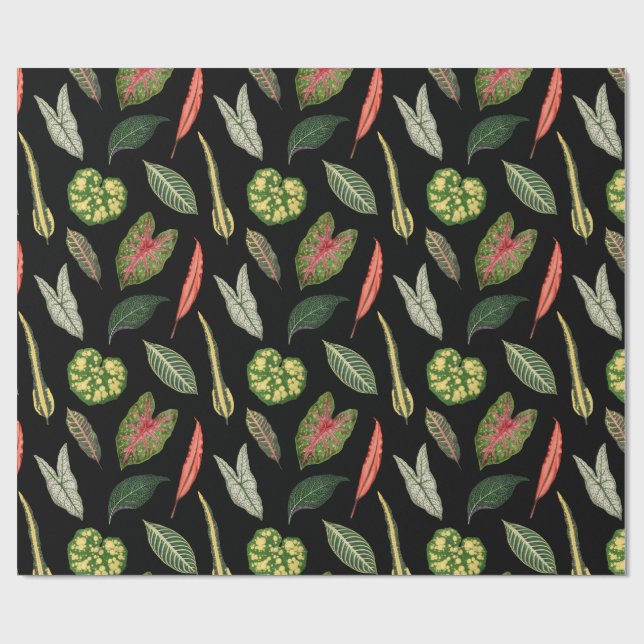 Papel De Presente Wrapping Paper (Aberto)