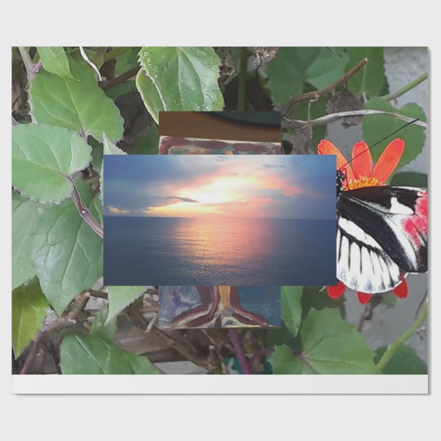 Papel De Presente Zebra tail butterfly (Aberto)