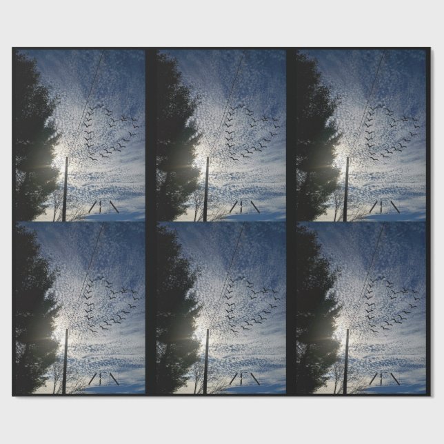 PAPEL DE PRESENTE ZEN (Aberto)