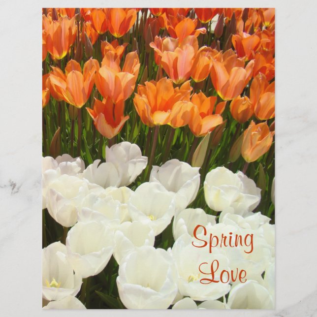 Papel de Scrapbook Amor de Primavera Flores de Tul (Frente)