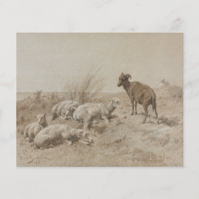 Papel de Scrapbook com Arte em Grafite de Ovelhas (Frente)