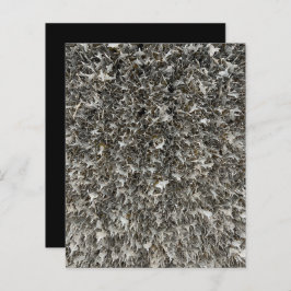 Papel de Scrapbook com Etiquetas de Prata