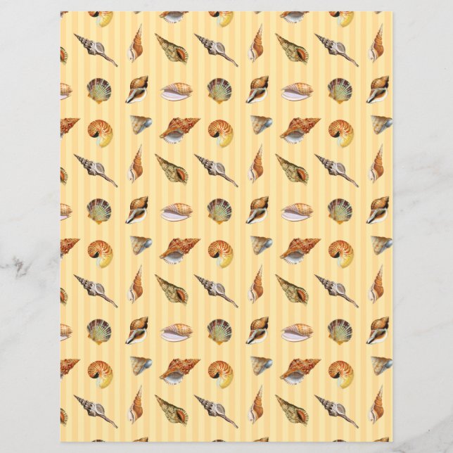 Papel de Scrapbook de Conchas Antigas com Faixa de (Frente)